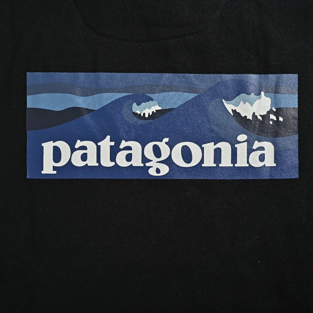 Patagonia Wave Graphic Pullover Hoodie - Black