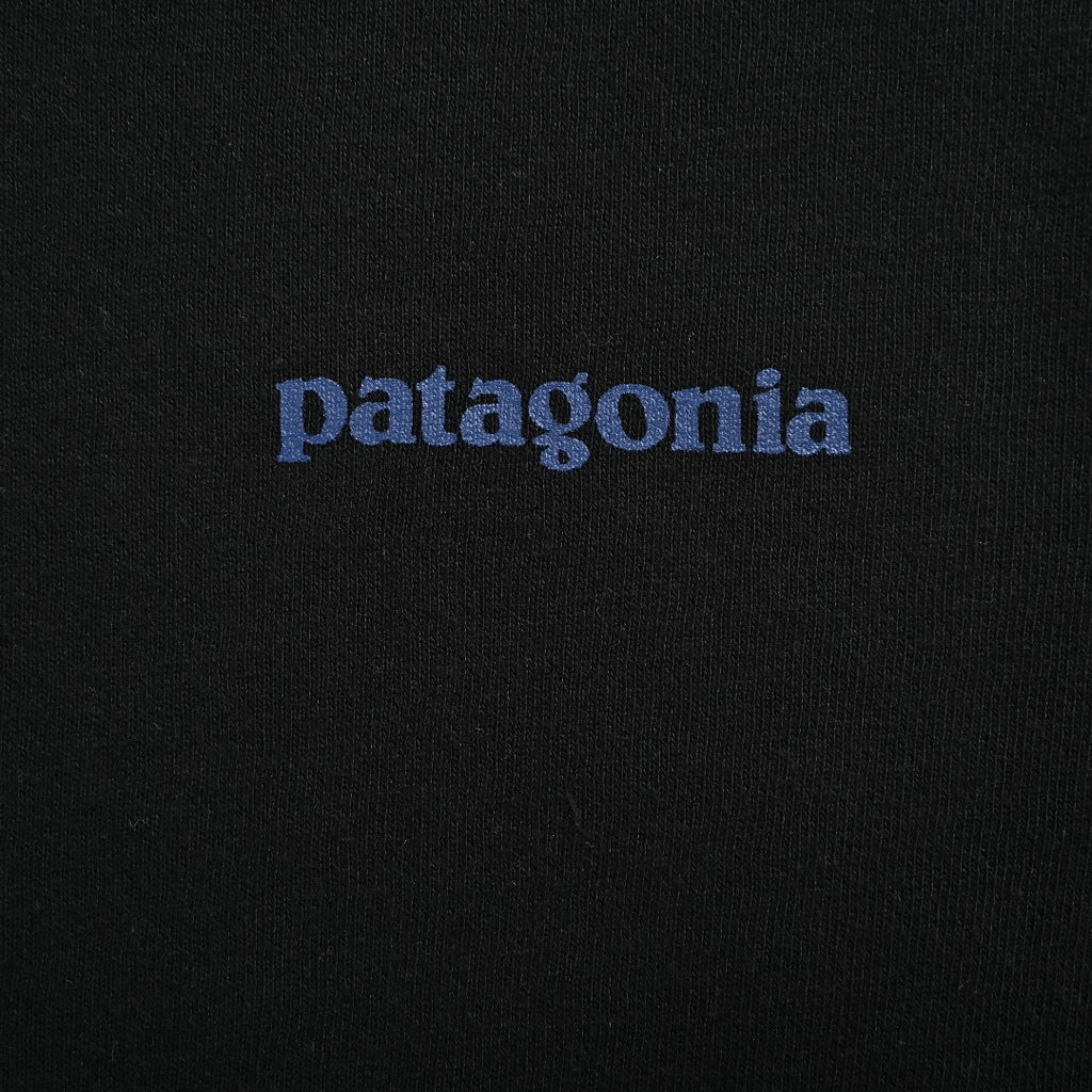 Patagonia Wave Graphic Pullover Hoodie - Black