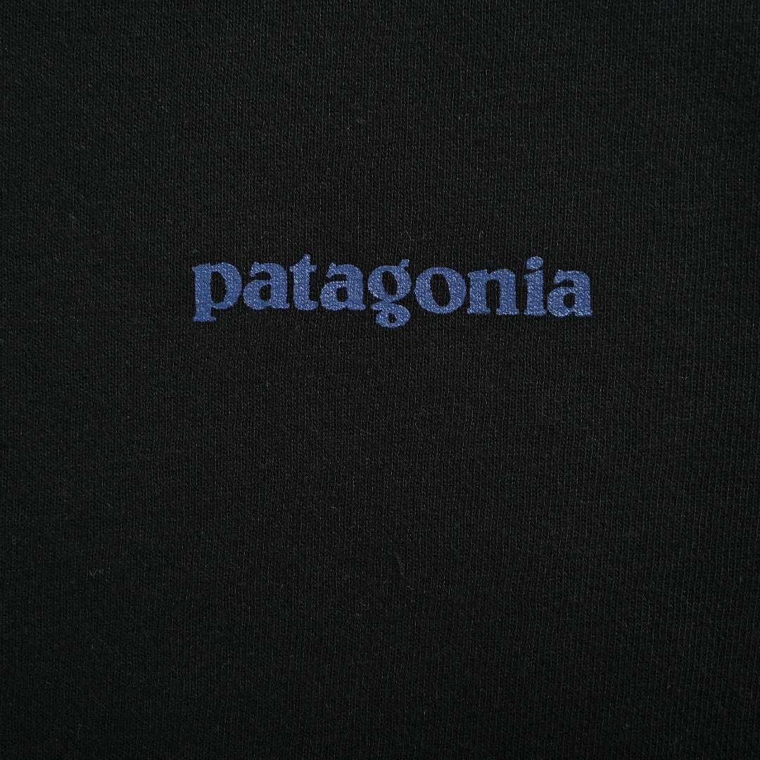 Patagonia Wave Graphic Pullover Hoodie - Black