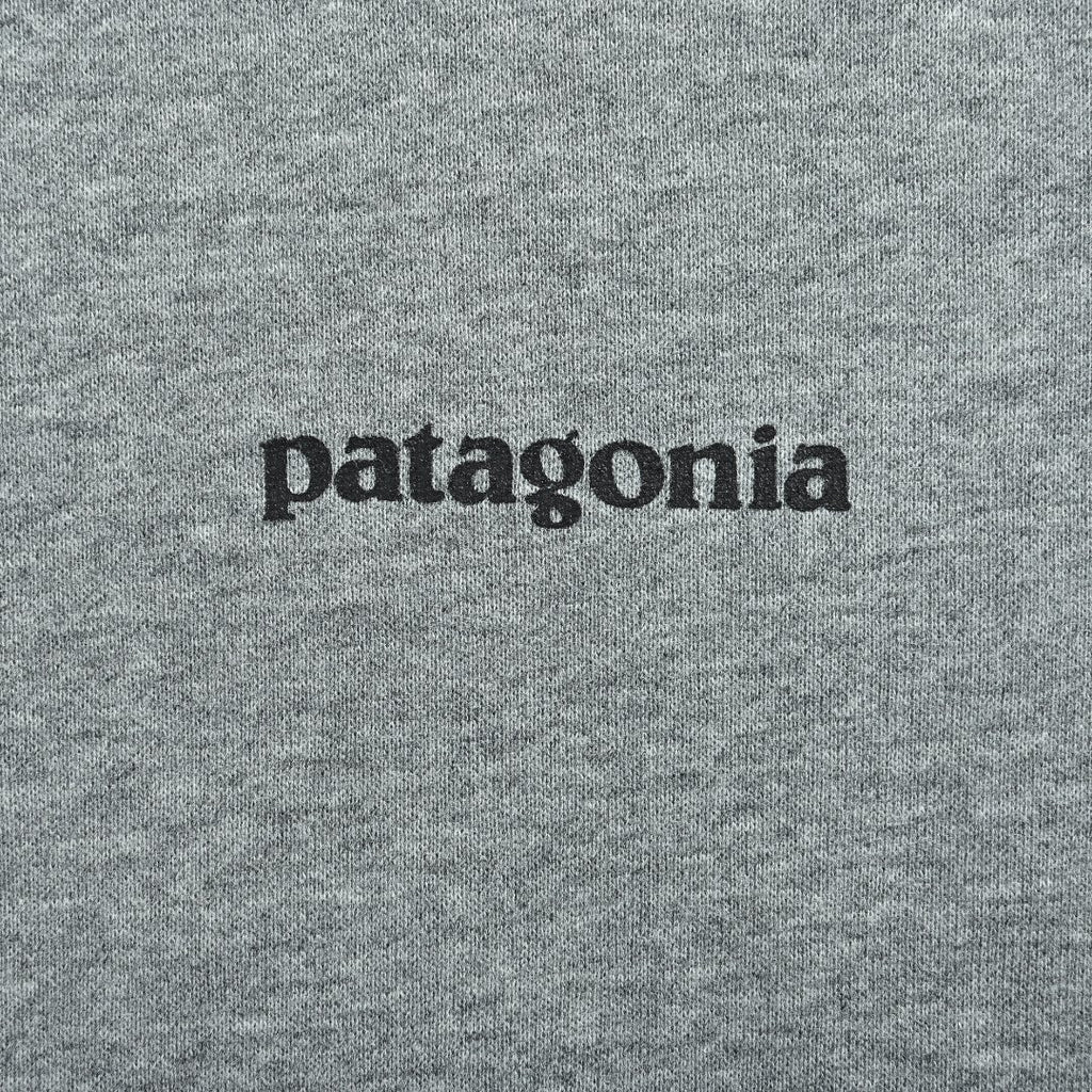 Patagonia Wave Graphic Pullover Hoodie - Gray