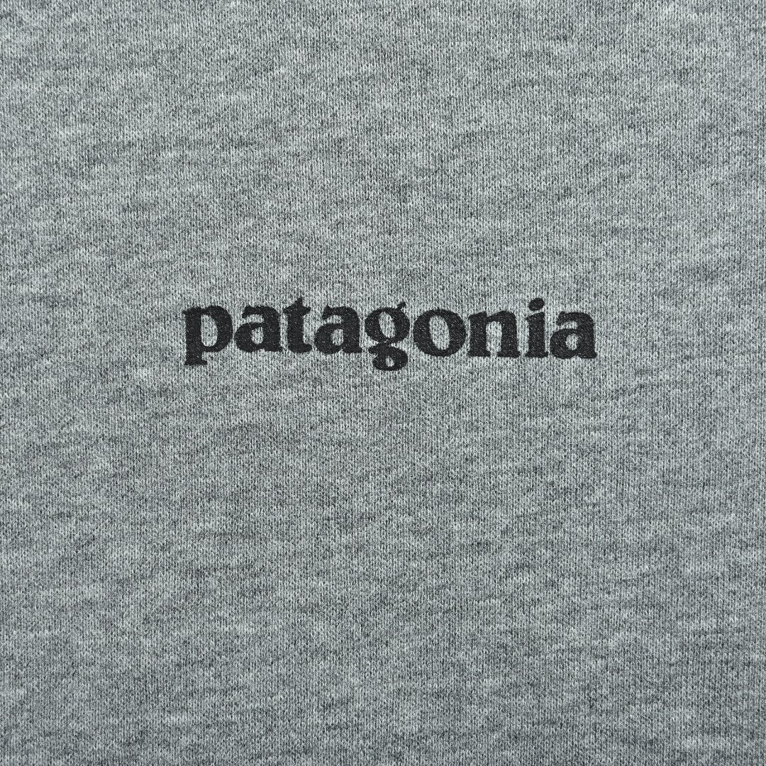 Patagonia Wave Graphic Pullover Hoodie - Gray