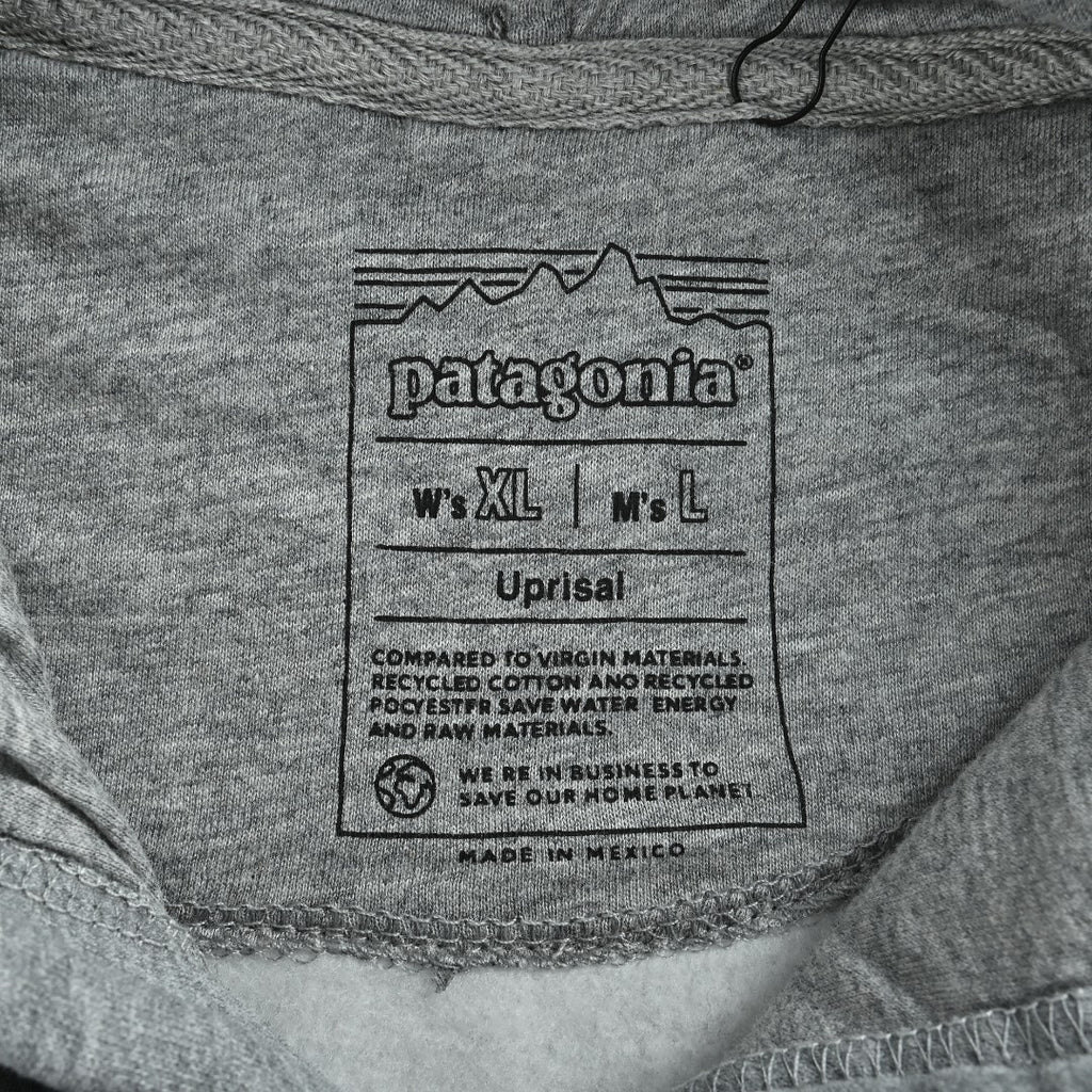 Patagonia Wave Graphic Pullover Hoodie - Gray